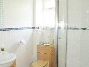a bathroom with a shower and a toilet and a sink at Quixhill - Denstone - Dove Meadow B & B in Uttoxeter +9 photos