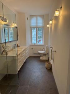 a bathroom with a sink and a toilet and a window at Risinge Herregård Bed & Breakfast in Ullerslev