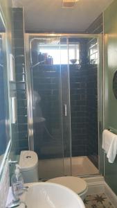 a bathroom with a shower and a toilet and a sink at Penguin House in Kingsbridge