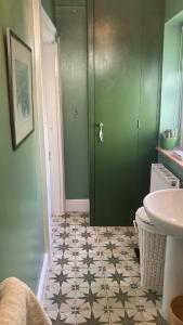 a bathroom with a green door and a sink at Penguin House in Kingsbridge