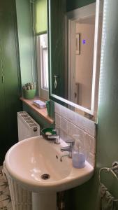 a bathroom with a sink and a mirror at Penguin House in Kingsbridge
