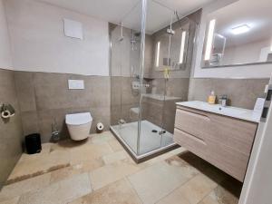 a bathroom with a shower and a toilet and a sink at Apartment "Storch" in Wehlenberg