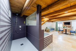 a bathroom with a shower and a tub in a room at Wellness Apartment Suite "Paradies Suite" in Spalt