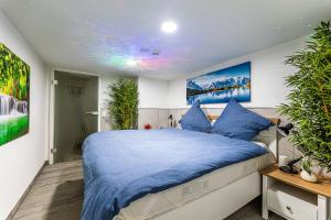a bedroom with a bed with blue pillows at Day SPA Streudorf in Muhr amSee +6 photos