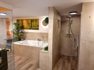 a bathroom with a bath tub and a shower at Wellness Suite - Dream SPA in Spalt