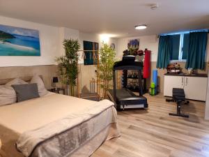 a bedroom with a bed and a fireplace in it at Wellness Suite - Dream SPA in Spalt