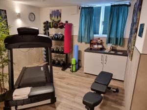 a room with a gym with a treadmill and chairs at Wellness Suite - Dream SPA in Spalt