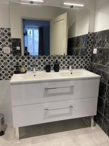 a bathroom with a white sink and a mirror at Sylo-V CHAMBRE EDGAR in Gensac-la-Pallue