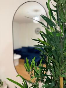 a green plant in front of a mirror at Prestige London Apartment Balcony Views in London