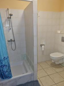 a bathroom with a shower and a toilet at Pensjonat BorowaDolina in Osie +19 photos