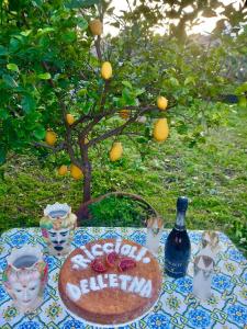 a birthday cake on a table next to a lemon tree at Riccioli dell' Etna in Piedimonte Etneo