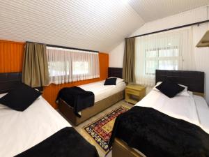 a bedroom with two beds and a window at Karaaslan Kamping Tesisleri in Kazandere