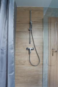 a shower in a bathroom with a shower curtain at Bled Castle View Apartment Medina in Zgornje Gorje +43 photos