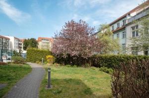 a walkway through a park with a tree and buildings at Dom Central Suite in Greifswald