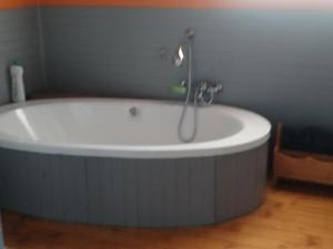 a bath tub with a shower in a bathroom at 41onLeo in Eersbewoond +24 photos