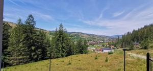 a view of a town from a hill with trees at Drag de Bucovina in Gura Humorului