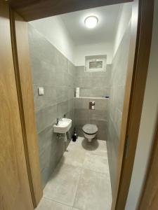 a bathroom with a toilet and a sink at Offline Home in Balatonőszöd +29 photos