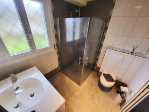a bathroom with a shower and a sink and a toilet at Sasseres Appart Souplex 6 pers Extérieur in Argelès-Gazost +13 photos