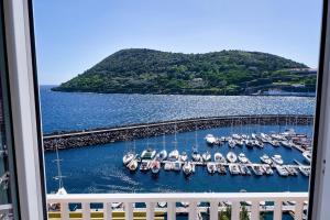 a group of boats are docked in a marina at Mid-Atlantic House in Angra do Heroísmo