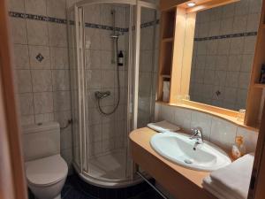 a bathroom with a shower and a sink and a toilet at Hotel Restaurant Raunig in Bad Kleinkirchheim +184 photos