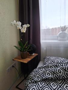 a bedroom with a bed and a plant on a table at Kalda tee Apartment - self chech-in, free parking in Tartu