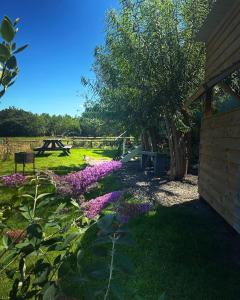a garden with purple flowers in the grass at Gypsy bow top caravan in Llangrannog