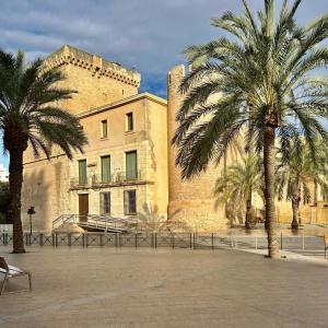 two palm trees in front of a building at Sol Mediterráneo - Palm City 2 in Elche