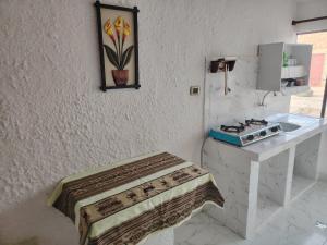 a kitchen with a counter and a stove in a room at Cabaña Sal y Piedra in Uyuni