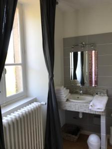 a bathroom with a sink and a mirror at Residence le Petit Paradis in Labastide-Rouairoux