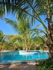 a palm tree sitting next to a swimming pool at Kidoti Bay in Kidoti