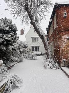 a snow covered yard with a house and a tree at Flemish House in Beccles +14 photos