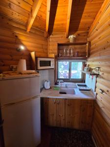 a kitchen with a white refrigerator and a sink at Among the cherry trees B&B 6 - Nahal Dan in Metulla