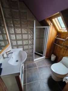 a bathroom with a sink and a toilet at Casa de la bahia de Chiloé in Castro +10 photos