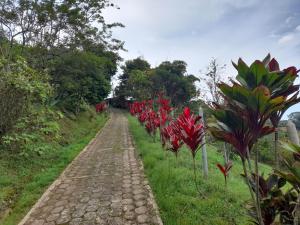 a dirt road with red flowers on the side at Alojamiento campestre in Cali