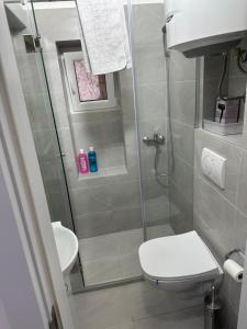 a bathroom with a shower with a toilet and a sink at Natalie's Lodge in Belgrade