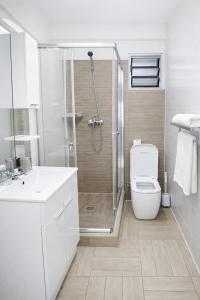a bathroom with a shower with a toilet and a sink at Milestone City Business Apartment - Secure Area - Fast WiFi Long Stay in Antananarivo