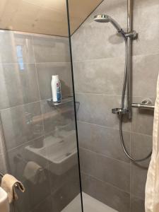 a shower with a glass door in a bathroom at Au Pré des Chevaux in Chateau-d'Oex +45 photos