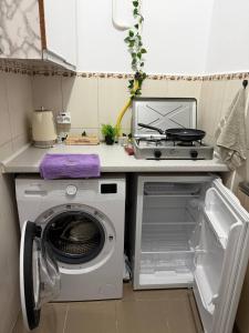 a kitchen with a washing machine and a stove at Cozy Grey Studio in Chişinău