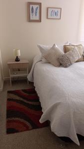a bedroom with a bed and a table with a lamp at Chillan Centro in Chillán +23 photos
