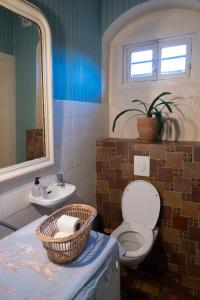 a bathroom with a toilet and a sink at Château de Choloy in Choloy +22 photos