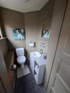 a small bathroom with a toilet and a sink at Huis aan Puyenbroeck in Wachtebeke +17 photos