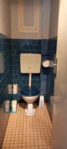 a bathroom with a toilet with a blue tiled floor at Coquette maison in Dunkerque