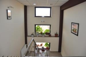 Imagen de la galería de Colina Grande, en Valea Călugărească 14 fotos más