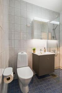 a bathroom with a toilet and a sink and a mirror at Studio Esterinkatu in Imatra +11 photos