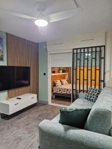 a living room with a couch and a tv and a bed at L'écrin des hauts in Saint-Denis