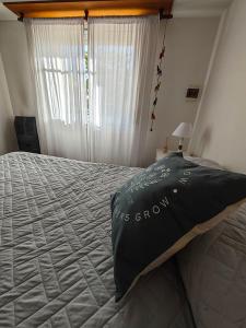 a bedroom with a bed with a pillow on it at Dpto URQUIZA Olavarría in Olavarría +1 photo