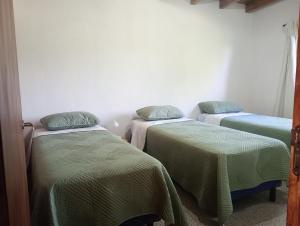 two beds in a room with green sheets at Casa Colmena Turismo Rural in Londres +12 photos
