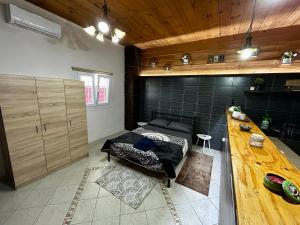 a bedroom with a bed and a counter in a room at DiMarS in Megara