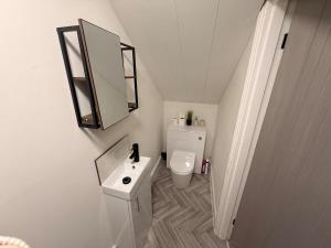 a bathroom with a toilet and a sink and a mirror at The Loft Ashley Road in Poole