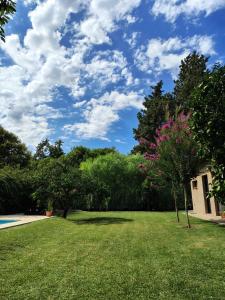 a lawn with a tree with pink flowers on it at Los jazmines de Duggan in Duggan